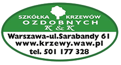 SZÓŁKA KRZEWÓW OZDOBNYCH K&K - krzewy.waw.pl